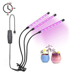 Plant Grow Light - surfies