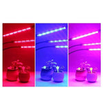 Plant Grow Light - surfies